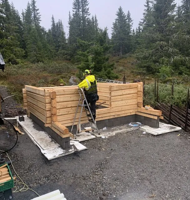 Trehytte under konstruksjon